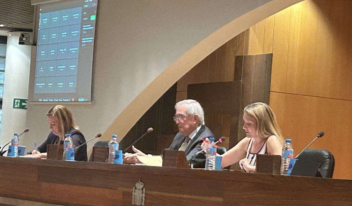 Hoy, en el penúltimo pleno antes del merecido descanso, la Vicepresidenta del <a href="/CESEspana/">Consejo Económico y Social de España</a> por el grupo primero, <a href="/Carmenv81/">Carmen Vidal</a> ha ejercido como presidenta en funciones. 

Ha sido un año de bastante trabajo, agradezco a todos los equipos su labor y hoy especialmente la de Carmen,