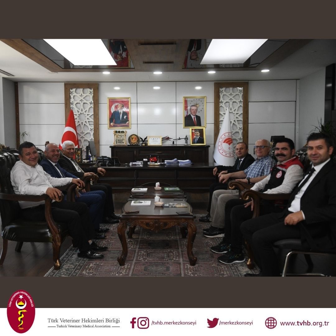 Türk Veteriner Hekimler Birliği Merkez Konseyi Başkanı Ali EROĞLU, Merkez Konseyi Üyeleri Dr. Ömer Faruk SARI ve Önder YILDIZ ile Kayseri Veteriner Hekimleri Odası Başkanı Akgün ERGÜL, Kayseri İl Tarım ve Orman Müdürü Sayın Bülent SAKLAV’ı ziyaret etti.

Kayseri Veteriner