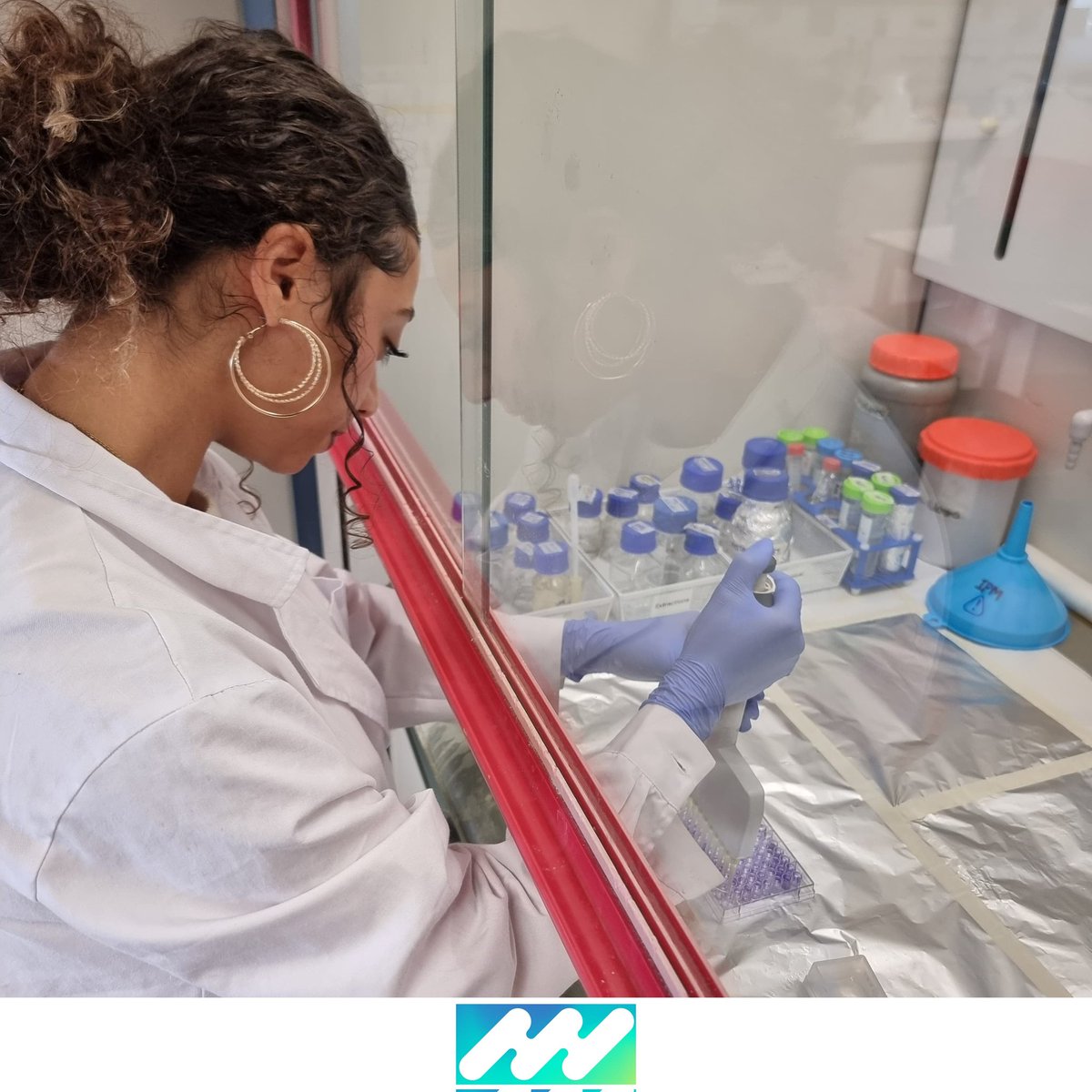 iPlantMicro's tweet image. Raquel and @Sarafsrosa1 are doing great! They're using the invasive algae Rugulopteryx okamurae samples from Granada and Algarve coast as a soil microbiota biostimulant @itqbnova @greenit_bio4sus