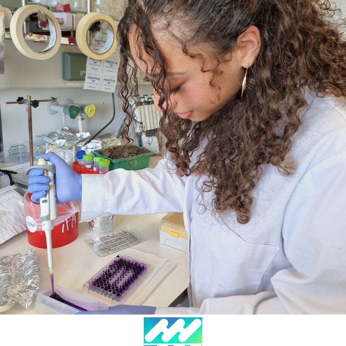 iPlantMicro's tweet image. Raquel and @Sarafsrosa1 are doing great! They're using the invasive algae Rugulopteryx okamurae samples from Granada and Algarve coast as a soil microbiota biostimulant @itqbnova @greenit_bio4sus