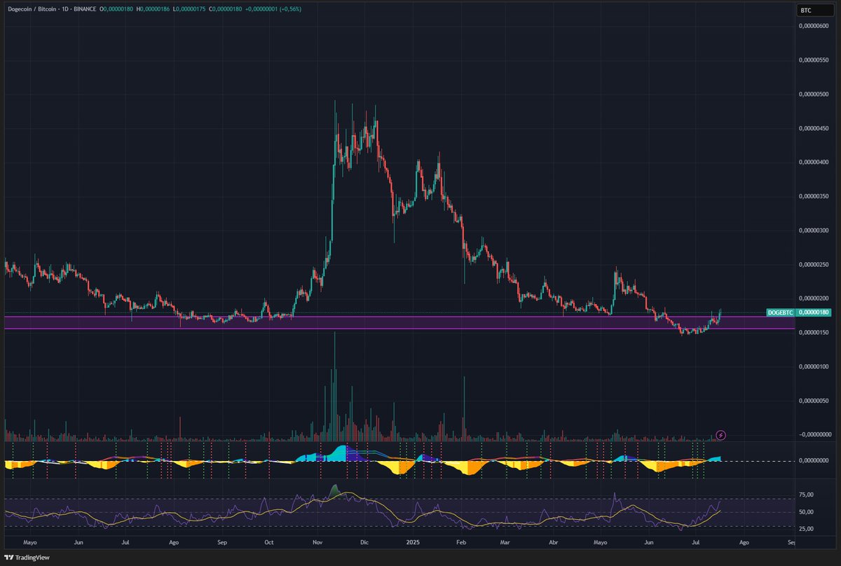 Franco Camaioni (@francocamaioni7) / Posts / X