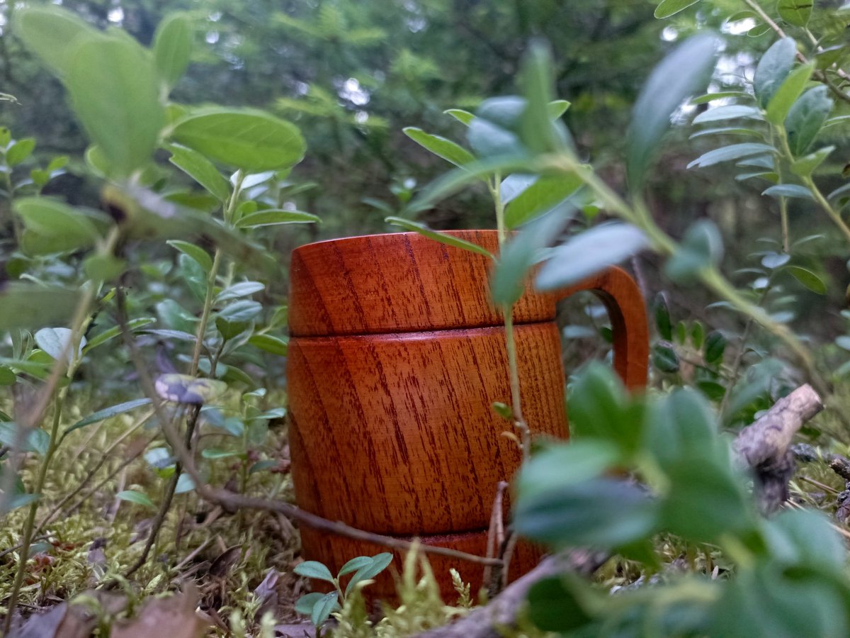 shellydwarf's tweet image. Решительно решила завести, наконец, отдельный канал для всякого творческого типа. Тексты, стихи, фанфики. 
Канал открытый, доступен всем ветрам. t.me/vereskovymost