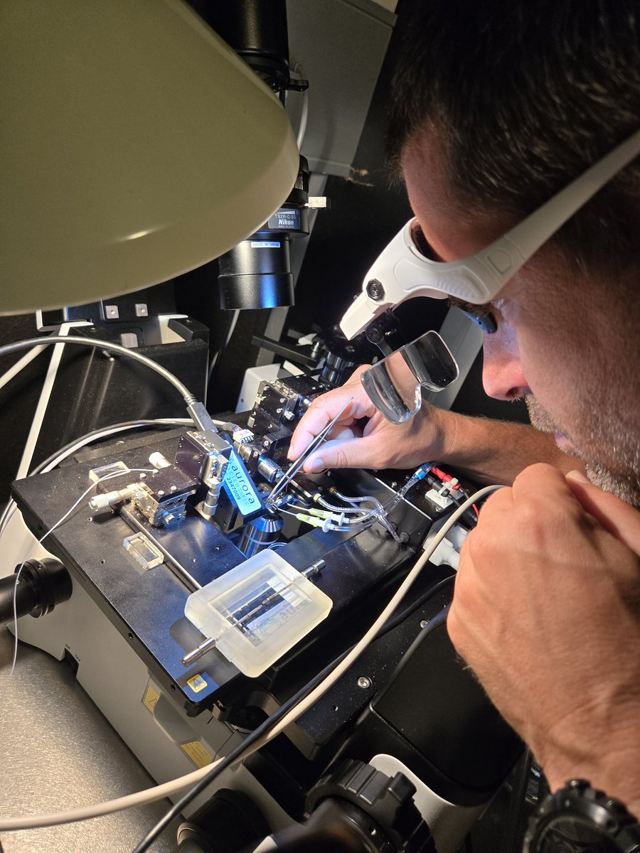 Arthur Cheng (@chenglabyorku) on Twitter photo Doing some experiments in the lab of Nicolas Place at the University of Lausanne. Thanks for the invite <a href="/Nicolas_Place1/">Nicolas Place</a> ! Doing some experiments in the lab of Nicolas Place at the University of Lausanne. Thanks for the invite <a href="/Nicolas_Place1/">Nicolas Place</a> !