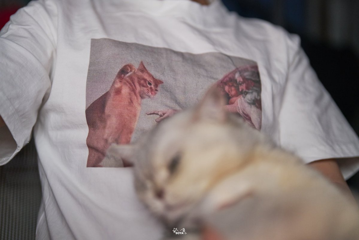SoyaOAO's tweet image. 🐱