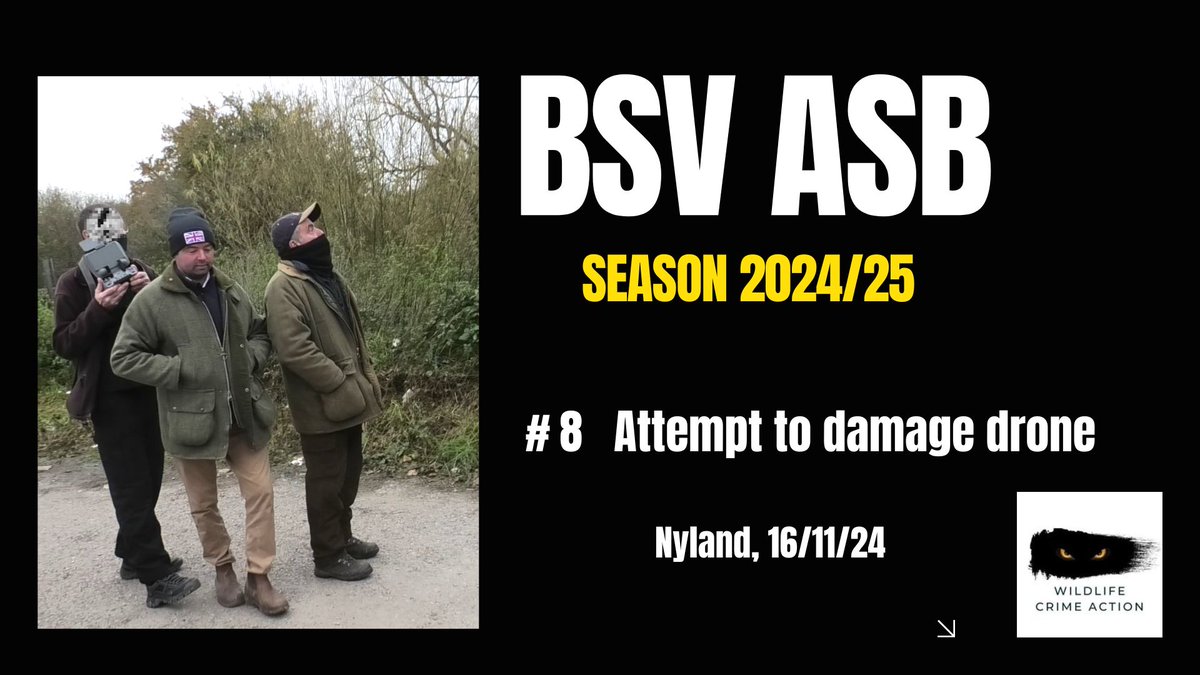 Day 8 of BSV ASB and things were looking up for the BSV but not in a good way, as these two clowns thought it would be a good idea to attempt to disrupt the landing of a DABS monitor's drone. Investigated by police but no further action taken.
