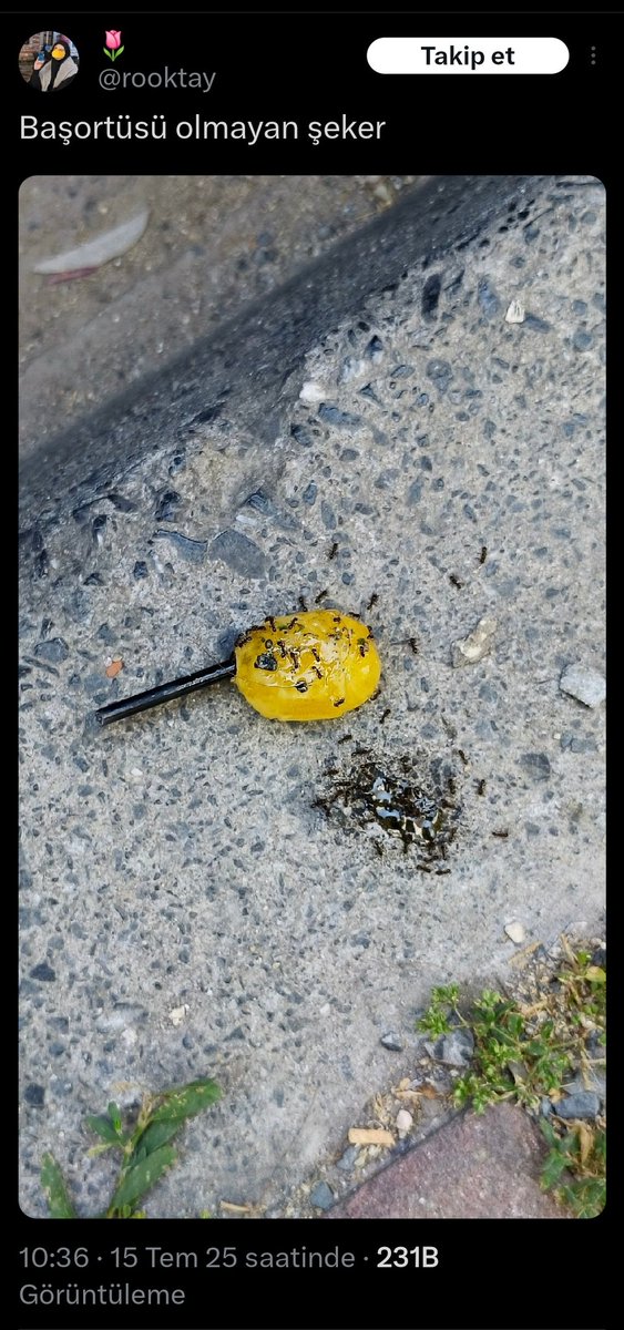 Başörtüsüz biri başörtülülerle ilgili bir benzetme yapsa 89 floodlık mağduriyet tweeti atıp akabinde cimere şikâyet edersiniz ama ikiyüzlüler