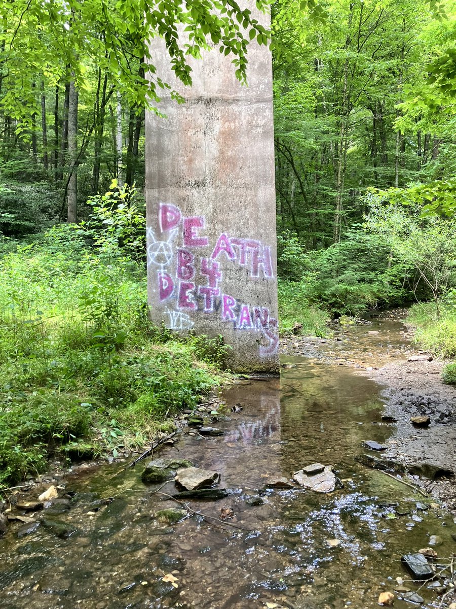 Reaganhater777's tweet image. A love Letter to a Wilting Rose follows crust punk April(she/her) and her crush on ethereal goth Mayhem (fae/faer) in a series of vignettes out now on YouTube