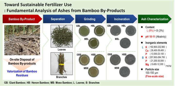 #Research toward #sustainable fertilizer use: Fundamental analysis of ashes from #bamboo by-products

bioresources.cnr.ncsu.edu/resources/towa…

#BioResJournal #OpenAccess #soilamendment #biofertilizer #biomassvalorization #physicochemical