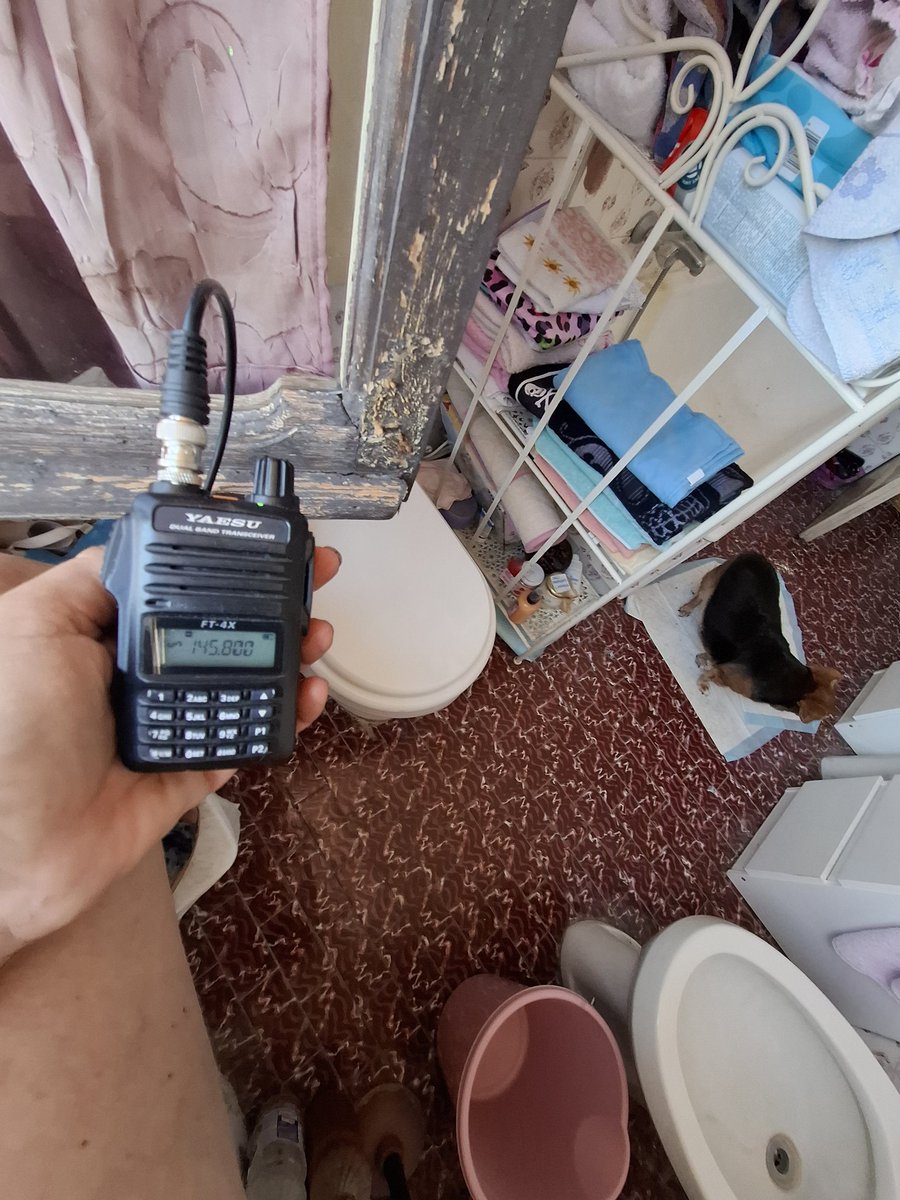 issfanclub's tweet image. 