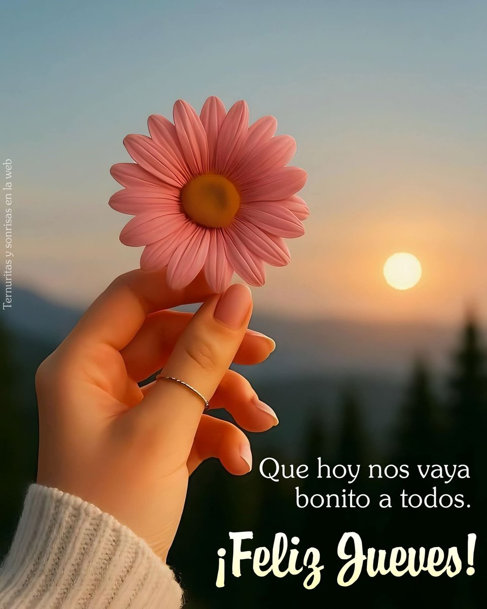leticiaangon's tweet photo. Feliz día @Armantina27  @sanjoseinsurgen @DeniseDresserG @gabyvargasmx https://t.co/8vXDjfFAB3
