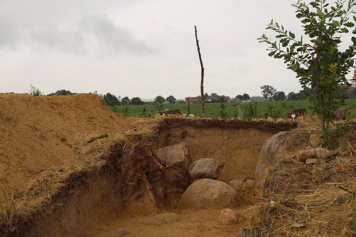 archaeologymag's tweet image. At Chlapowski Landscape Park in Wyskoć, Poland, a team located two monumental triangular structures referred to as “Polish pyramids,” which served as burials of high-ranking members of the Funnelbeaker culture some 5,500 years ago.
archaeology.org/news/2025/07/1…