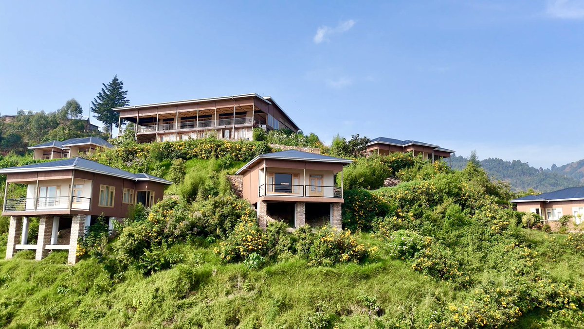 RadaRubangira's tweet photo. Discover the perfect blend of luxury and
affordability at https://t.co/xzrzXNAj4o ,nestled in the heart of the Rushaga Sector, Bwindi Impenetrable National Park! Imagine waking up to the sounds of the jungle, just moments away from an incredible gorilla trekking experience https://t.co/784XU5aaB7