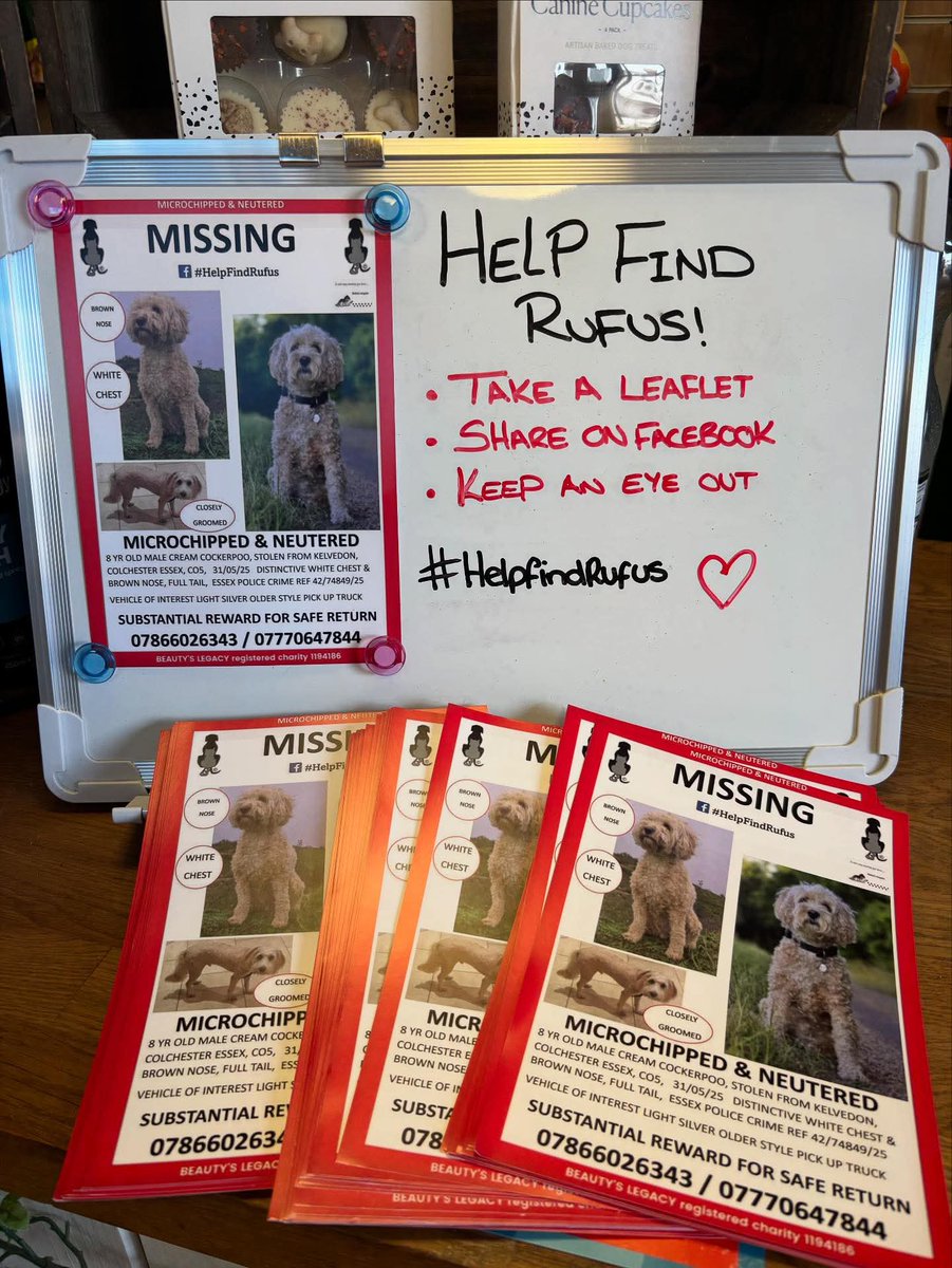 MissingPetsGB's tweet photo. #HelpFindRufus
"Help Find Rufus
Our beloved cockerpoo Rufus, 8 year old, blonde, male and neutered has been missing, presumed stolen, since 6pm on Saturday 31 May. A suspicious shiny silver one door pickup truck, similar to a Toyota L200 was spotted leaving the area at the time" https://t.co/ZCXjxAWMQT