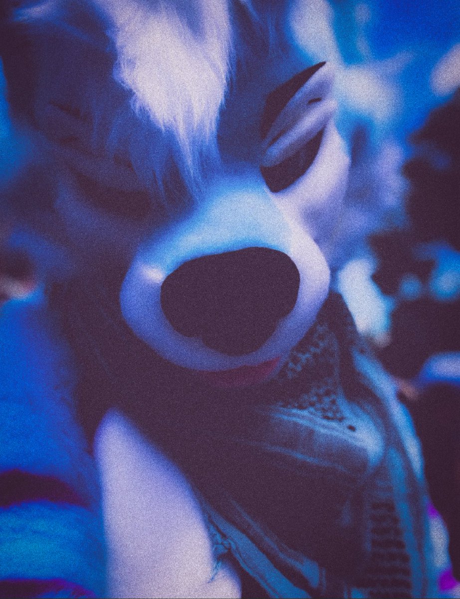 bluehuskybutt's tweet image. 🌌 🌌 🌌
