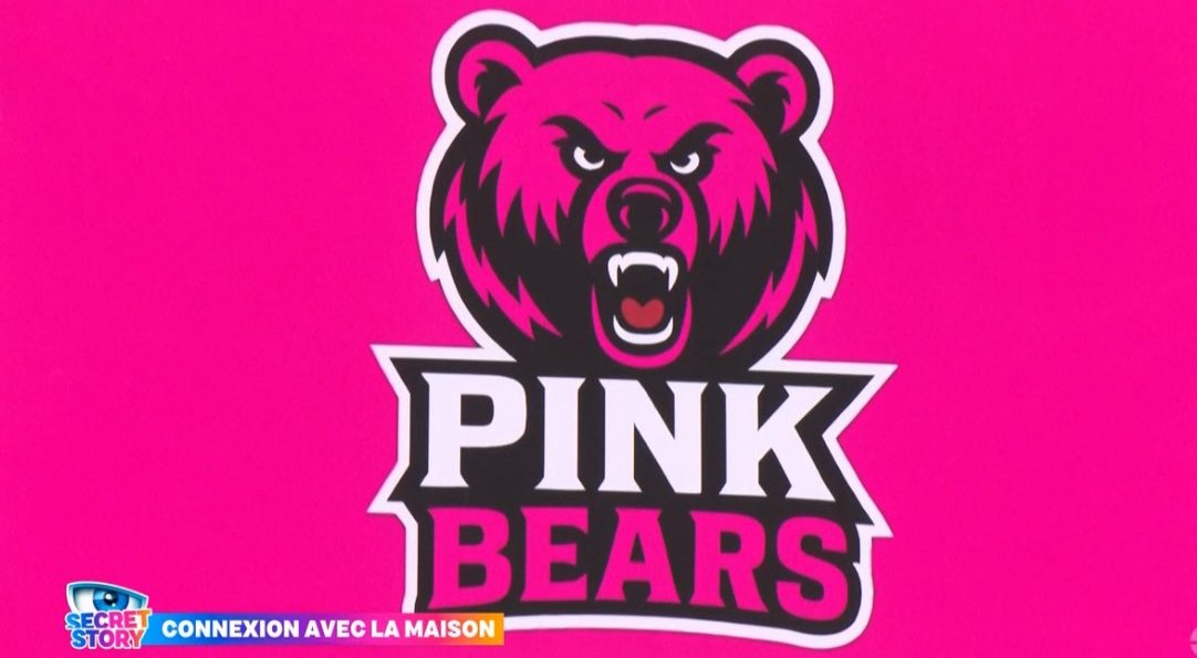 _langelus's tweet image. On est présent la team 🩷💪
#teampinkbears #pinkbears #SecretStory #secretstory2025 #SecretStoryPrime @SecretStory_tf1