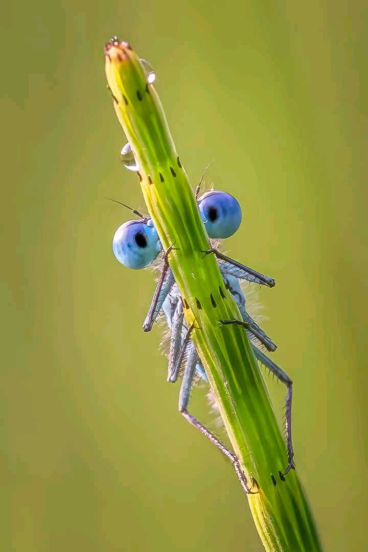 #nwaleshour <a href="/NWalesSocial/">#NorthWalesSocial ⬆️🏴󠁧󠁢󠁷󠁬󠁳󠁿🤝</a> Why not have a look at my website, andrepepperphotogr.wixsite.com/andrepepperpho… to see what I can do to help you, or you could even email andrepepperphotographer@aol.co.uk to find out more. Thank you.