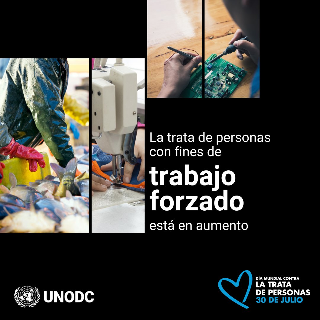 UNODC_ROPAN's tweet image. Cuanto más complejas son las cadenas de suministro, mayores los riesgos de trabajo forzado en los sectores de alimentos, ropa y tecnología.
Leyes firmes y mejor supervisión son clave para impedir que el crimen se beneficie de la explotación.
#FinAlaTrataDePersonas