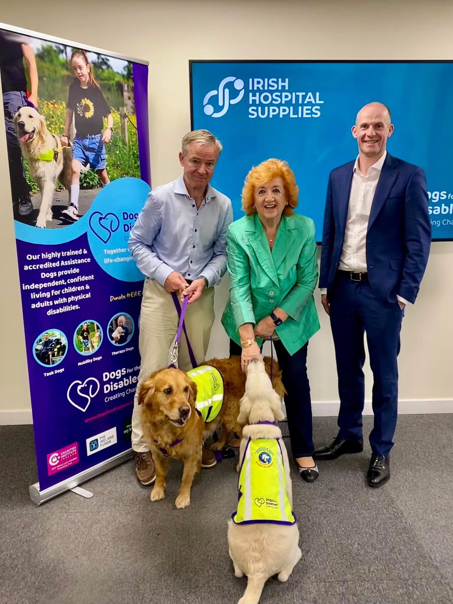 DogsForTheDisabled tweet media