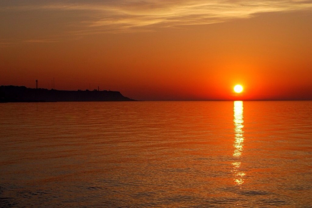 Катерина Галич tweet media