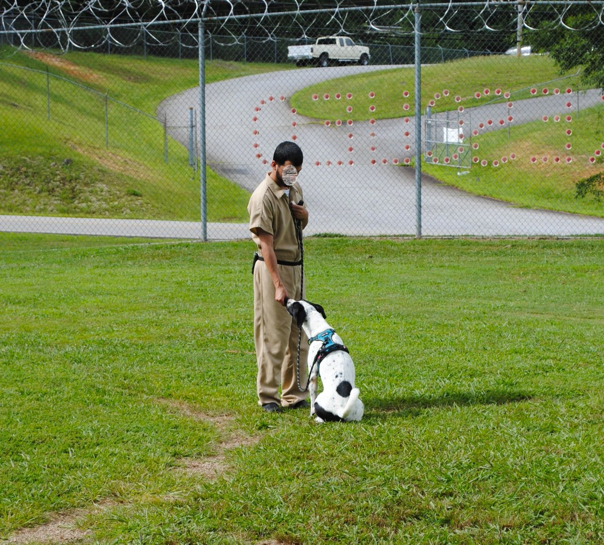 distevhass31's tweet image. Group 46 - Positive Reinforcement Training with K9wise @GA_Corrections @GAFirstLady @CLALeadership @jeffbreedlove1 @Recovery_GC4R @endthewhisper @JellyRoll615