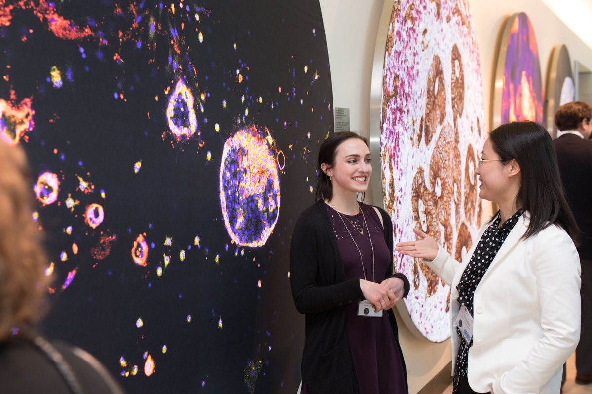 kochinstitute's tweet image. We’re cell-ebrating the beauty of science! The 2026 Image Awards competition is now open. MIT students, faculty & staff—submit your most striking biomedical visuals for the 15th annual #KIimages exhibition. The deadline is 10/10/25. Details + entry form: ki.mit.edu/imageawards