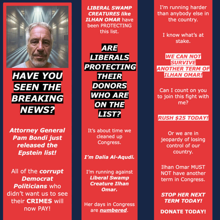 Inugamiz's tweet image. Well I bet @Dalia4Congress is going to return the money she got from this, right?