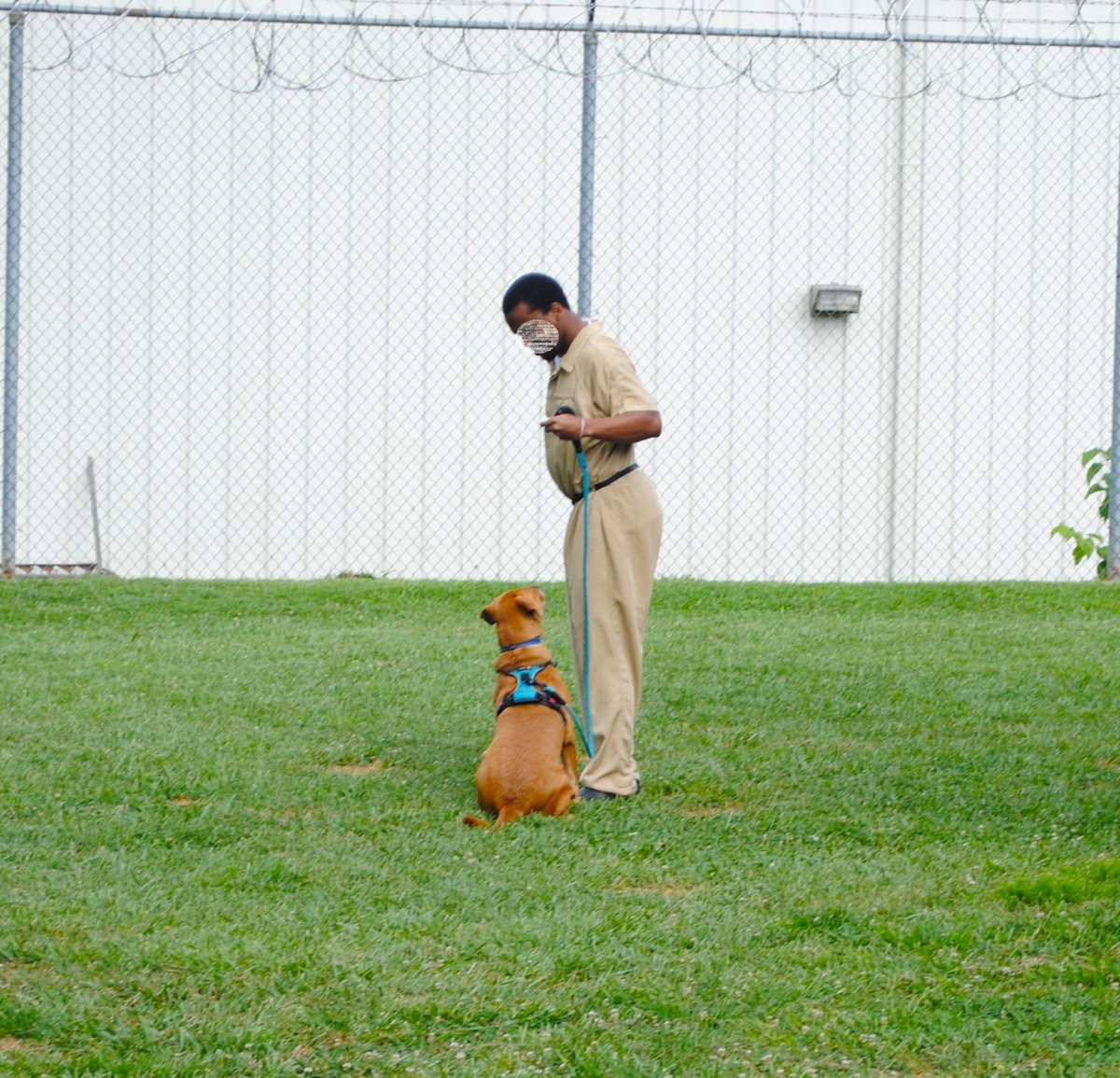 distevhass31's tweet image. Group 46 - Positive Reinforcement Training with K9wise @GA_Corrections @GAFirstLady @CLALeadership @jeffbreedlove1 @Recovery_GC4R @endthewhisper @JellyRoll615