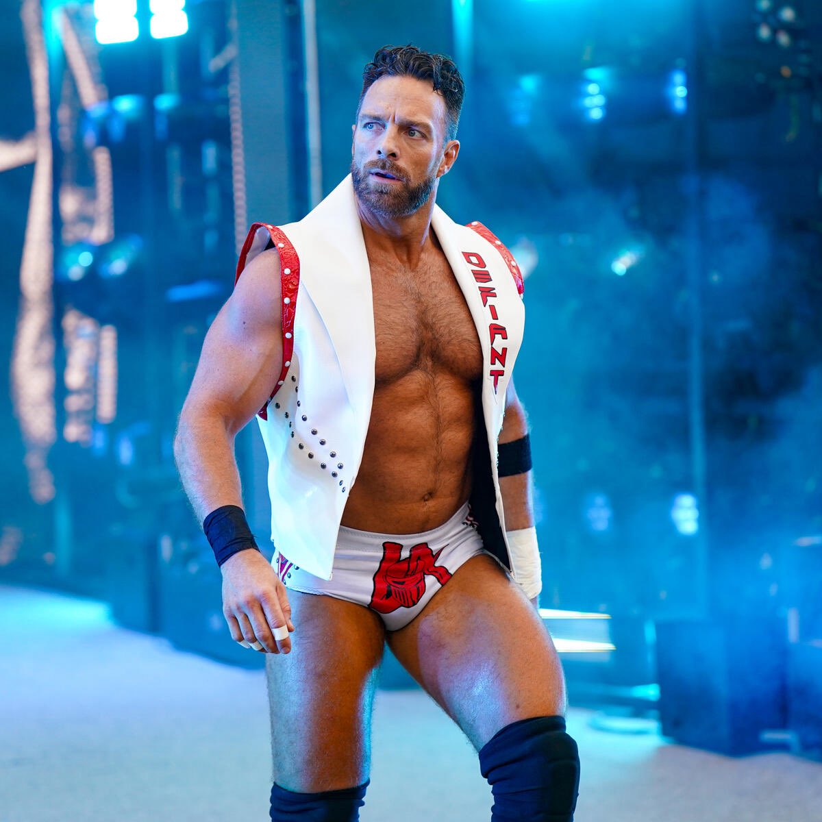 WfigAttires's tweet image. WWE Elite Collection Series 120: LA Knight
Attire worn on: Summerslam 2024