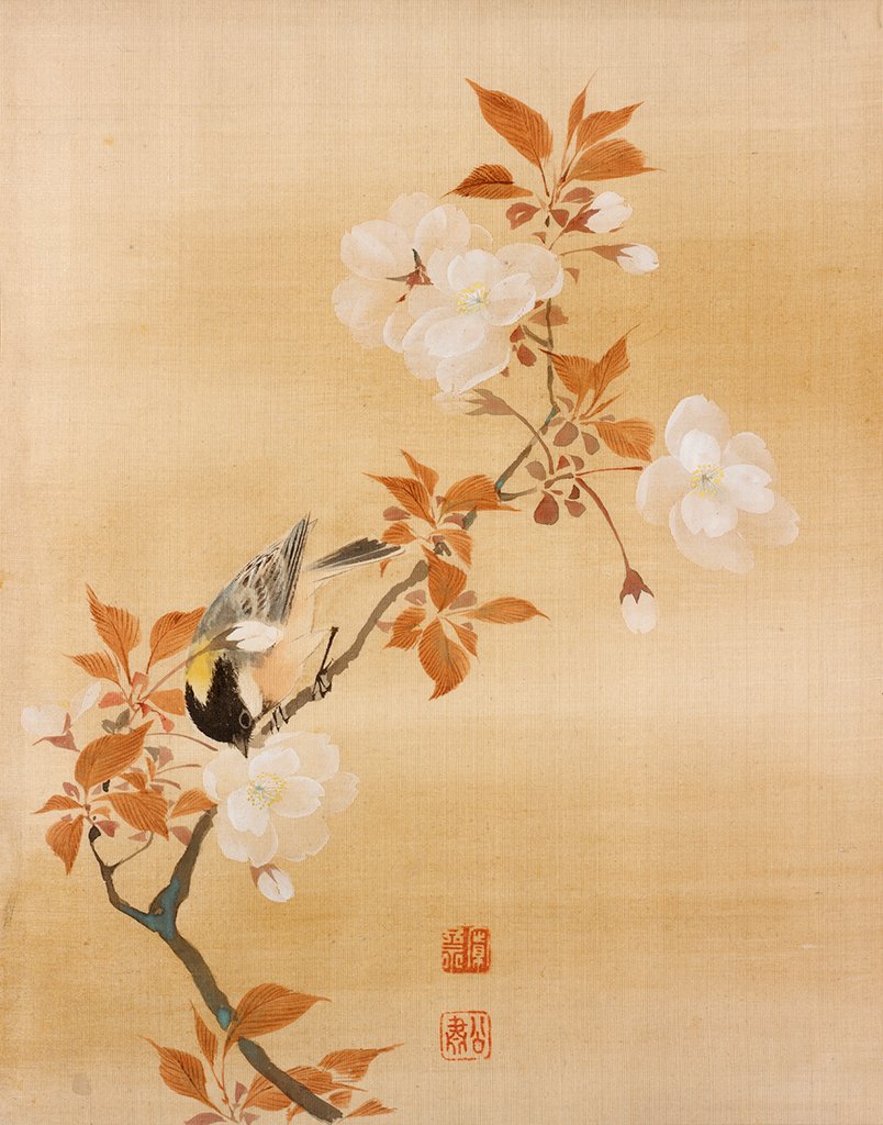Nuthatcher on a Flowering Cherry Tree, by Mori Kansai, 1873