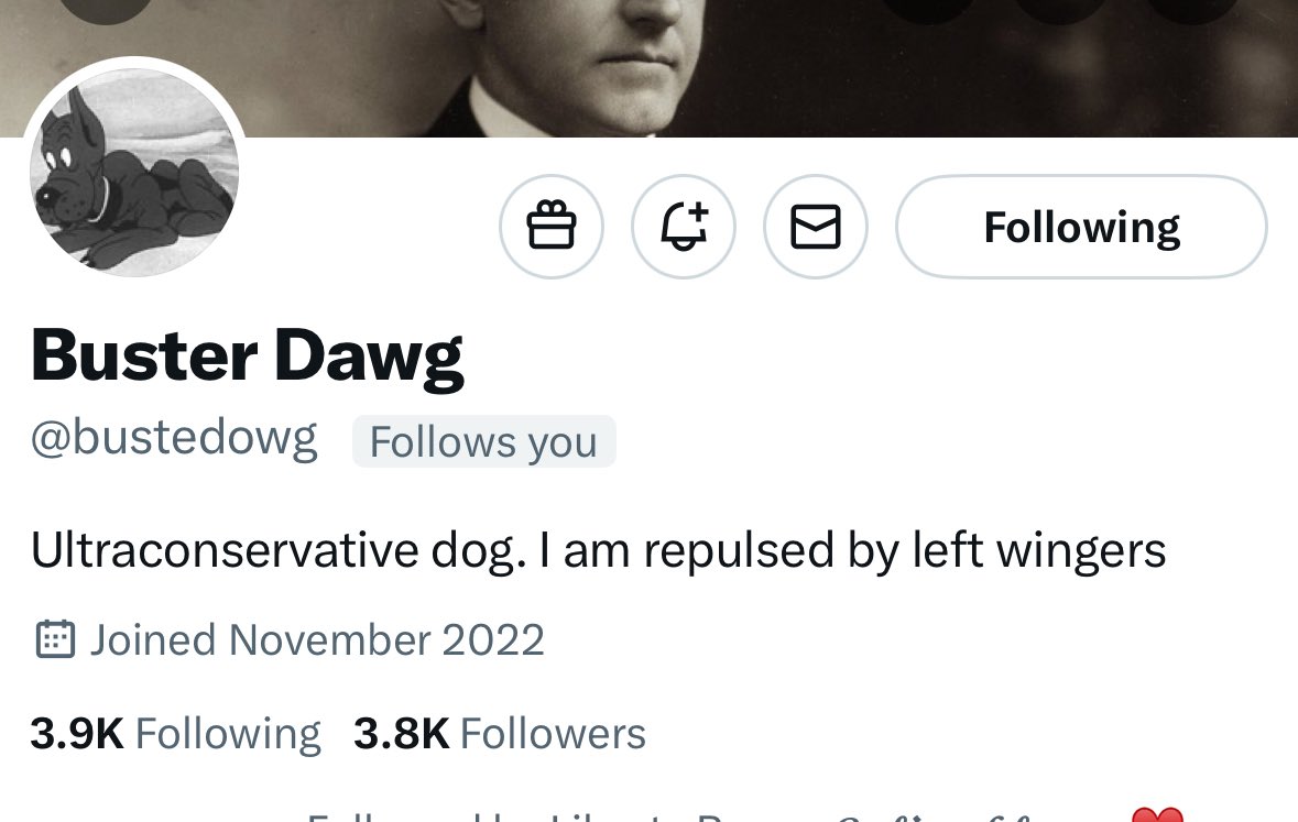 Steeler4ever (@steeler4ever79) on Twitter photo Next up. <a href="/bustedowg/">Buster Dawg</a> is a nice person to connect with. He interacts and will connect back.
Join Stronger Together ๐ช๐ช๐ช Next up. <a href="/bustedowg/">Buster Dawg</a> is a nice person to connect with. He interacts and will connect back.
Join Stronger Together ๐ช๐ช๐ช