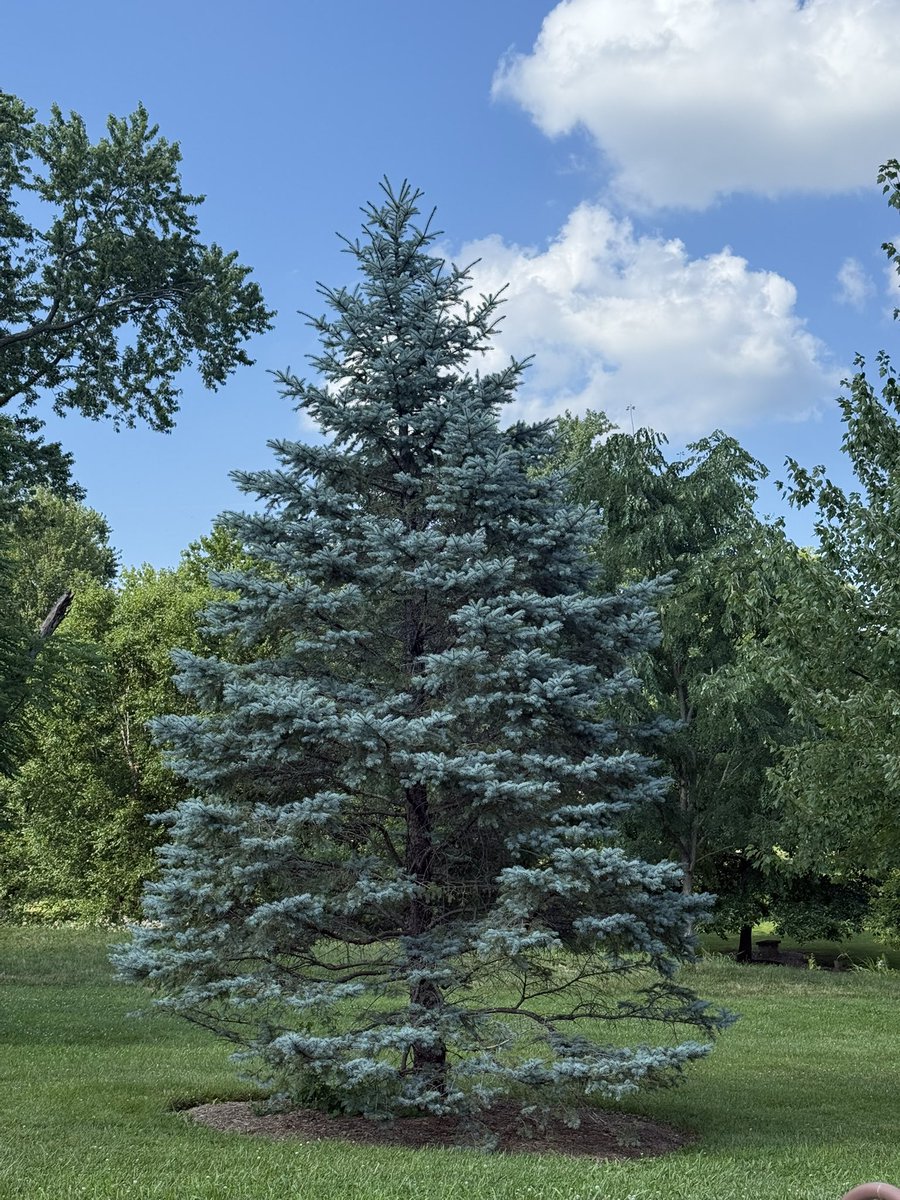 Yifan Zhang tweet media