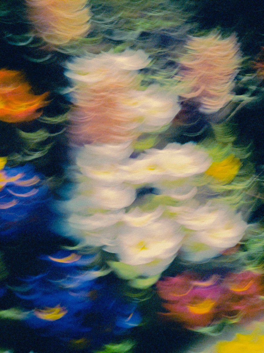 ni_leconte's tweet image. Who said it was impossible to take artistic photos on phone?