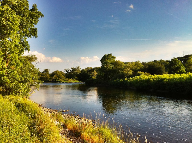 Did you know the Cambridge to Paris Rail Trail was one of Ontario’s first rail trails? Opened in 1994, it follows the former Lake Erie and Northern Railway line for 18 km along the scenic east bank of the Grand River.