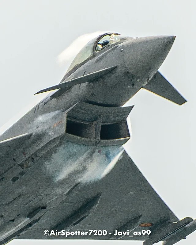 "A Spanish Eurofighter was performing at the #Aire25 airshow when it suffered a bird strike to the front of the canopy.
The aircraft ended it's display and then landed at San Javier airport."

But noone is talking about the bird suffering a plane strike. Typical...!
