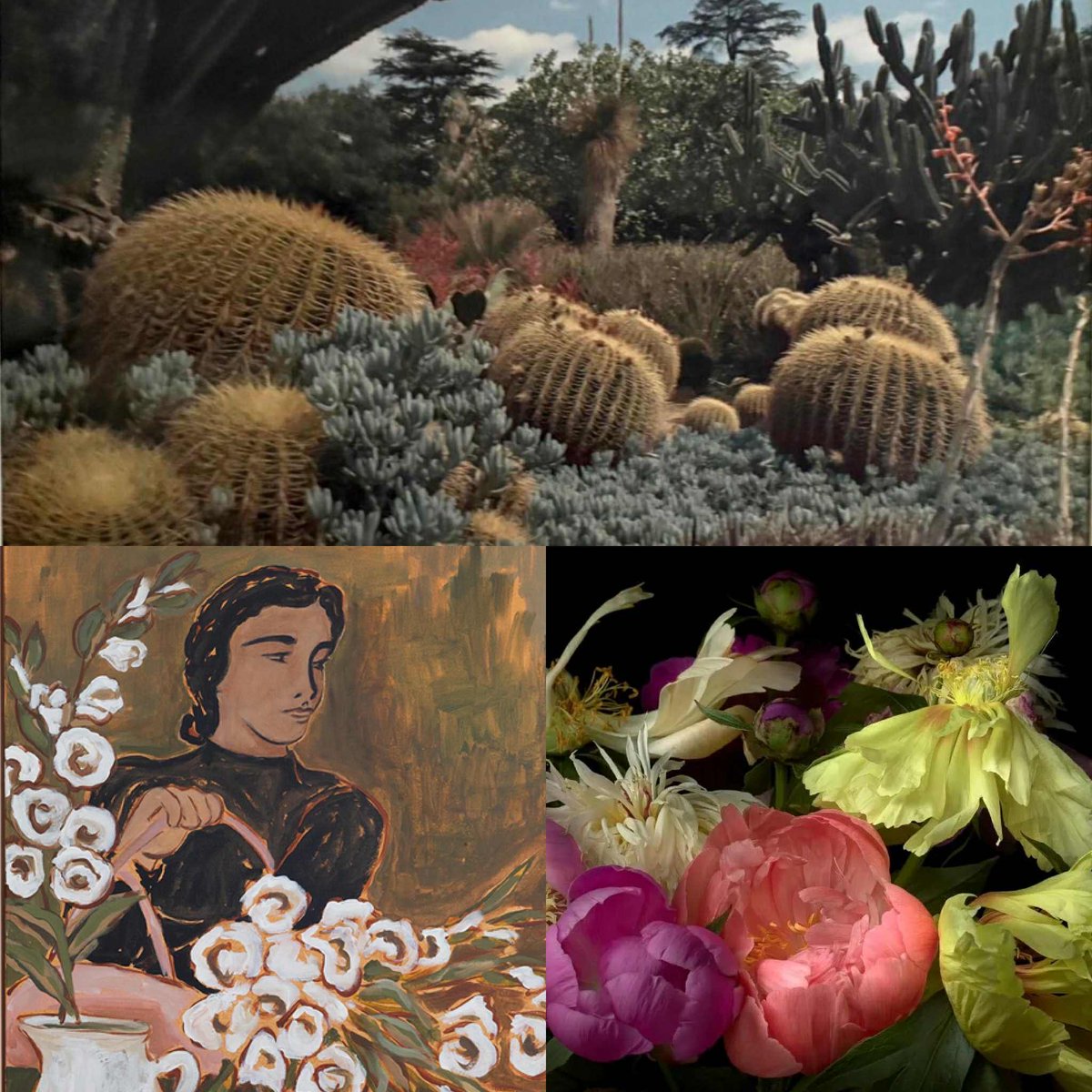 “Flowers, plants, botanicals,” our July 17 Artscope email blast!, features “Flora” at Arts League of Lowell; “Cross-pollination,” opening this Saturday at George Marshall Store Gallery; and “Ephemeral Grace: Botanicals by Deb Ehrens” @HighfieldHall: conta.cc/3UbS9AT