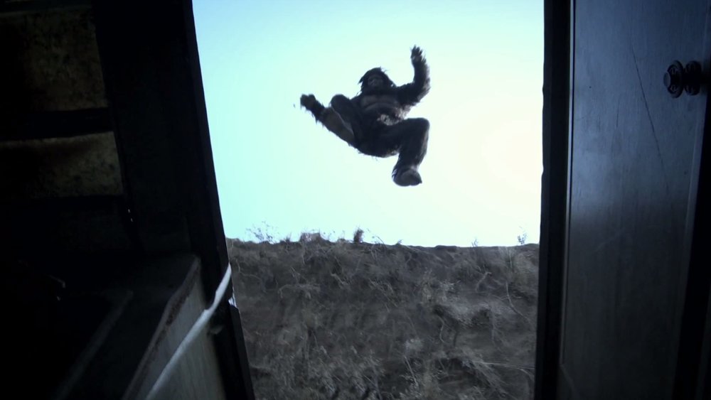 rlgransden's tweet image. Today&apos;s Film of Today is

Exists (2014)