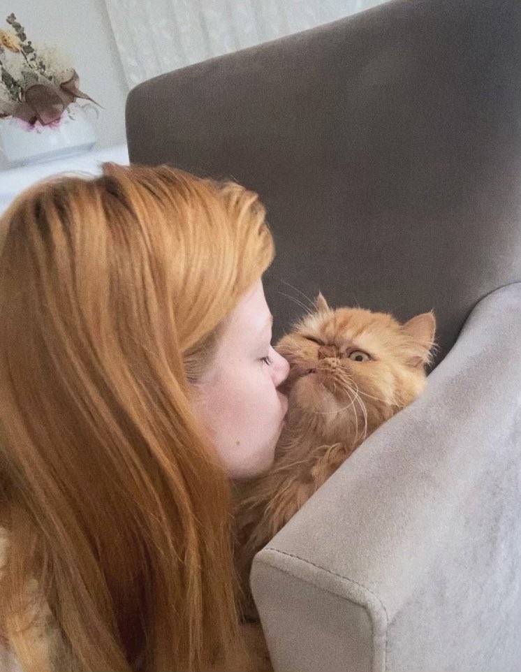 kediipatisi's tweet image. 8 yıldır her türlü çilesini çektiğim kedimi öpmek istediğimde