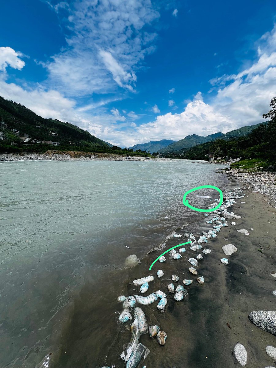 ur_rahman3's tweet image. Used baby diapers dumped in Swat River at Swat khawazakhela Chakrai Jarai a serious threat to nature, public health &amp;amp; tourism.This is NOT responsible tourism.
Let’s all help keep Swat clean. It’s our shared duty. 💚🌿
#ProtectSwat #StopPollution #ResponsibleTourism