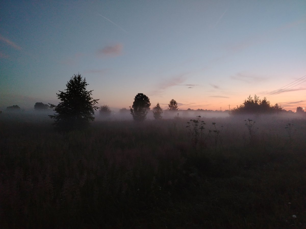 Y_freeman1's tweet image. Окру́га