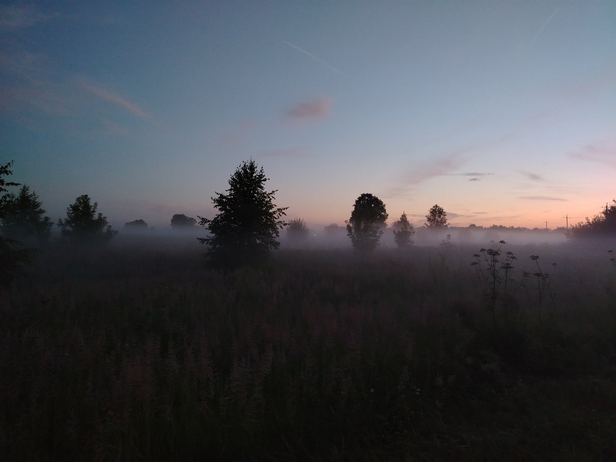 Y_freeman1's tweet image. Окру́га