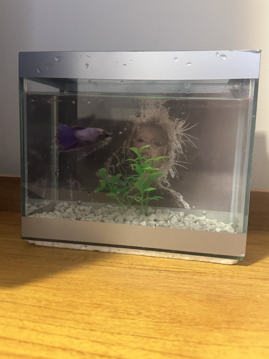 now my fish swim looking at miley