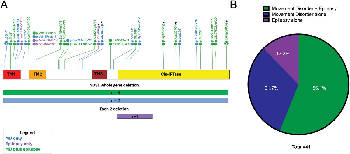NMNeurology's tweet image. Published in @ANA_journals, neurologists Niccolo E. Mencacci, MD, PhD, Sarah M. Brooker, MD, PhD (@BrookerSarahM), and Elizabeth E. Gerard, MD (@EEG_MD), co-authored a study reporting a large cohort of cases with pathogenic NUS1 variants. The study details the clinical…