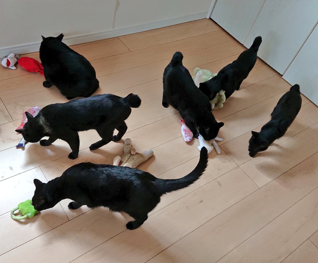 arca20220921's tweet image. 夢中