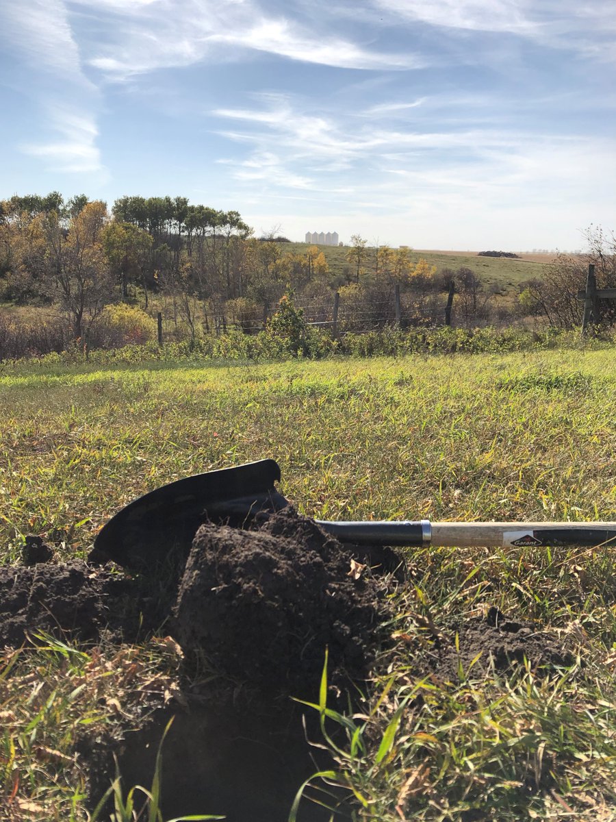 Do you own land in the RM of Sifton? #MBAg will be conducting soil surveys in your area! Learn more about soil surveys at bit.ly/44DVYoJ and call Megan, our Soil Survey Specialist at 431-276-8414 to participate.