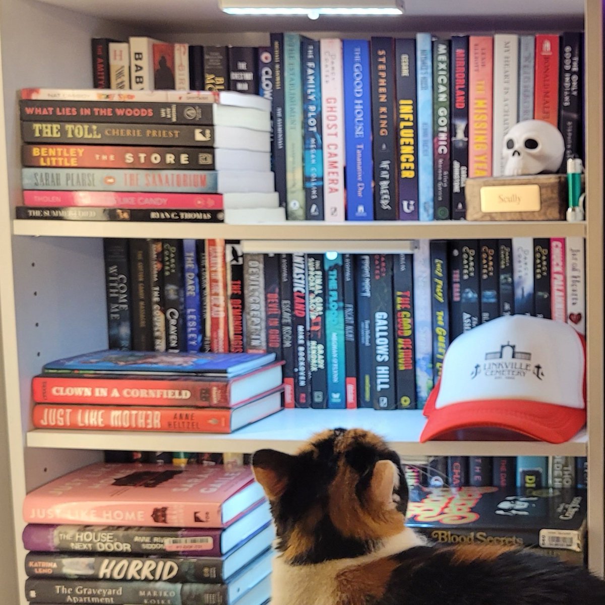 _addicted2books's tweet photo. #NewProfilePic https://t.co/QaqcMj0p9T