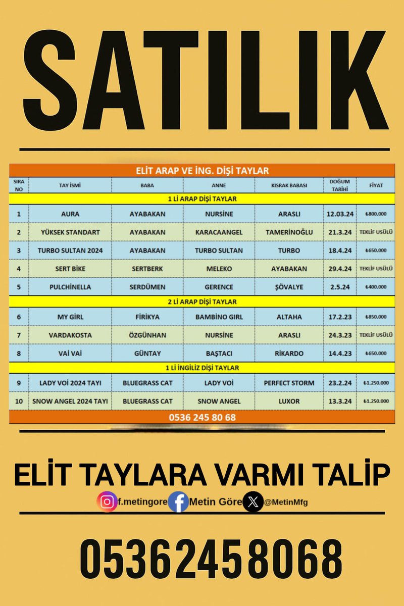 MetinMfg's tweet photo. #Özgünhan,#Ayabakan, #Serdümen, #Sertberk, #Firikya, #Güntay ve #BluegrassCat dişi taylarına #VarmıTalip, @ozbelgestud @CelikogluStllns https://t.co/jaUp6FC0t0