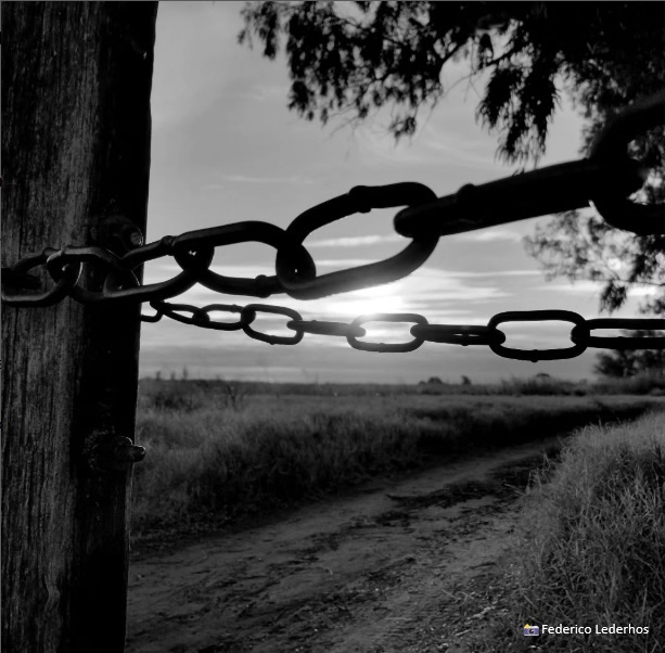 vidasucesion's tweet image. El alma se anida
en la temporalidad del viento.
Lҽɳι🍷
📸Federico Lederhos
vidasucesion.blogspot.com/2025/07/todo-l…