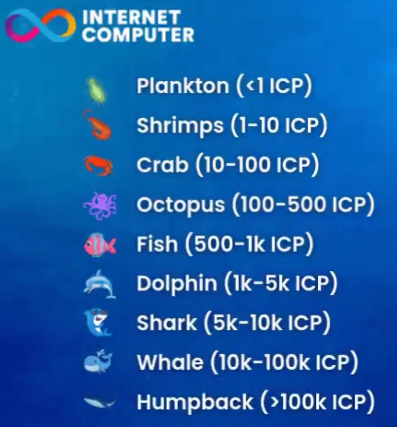 Let’s check in shall we…. Has $ICP been below $10 long enough for you to become a dolphin or above?! 💪💸💕 #ICP