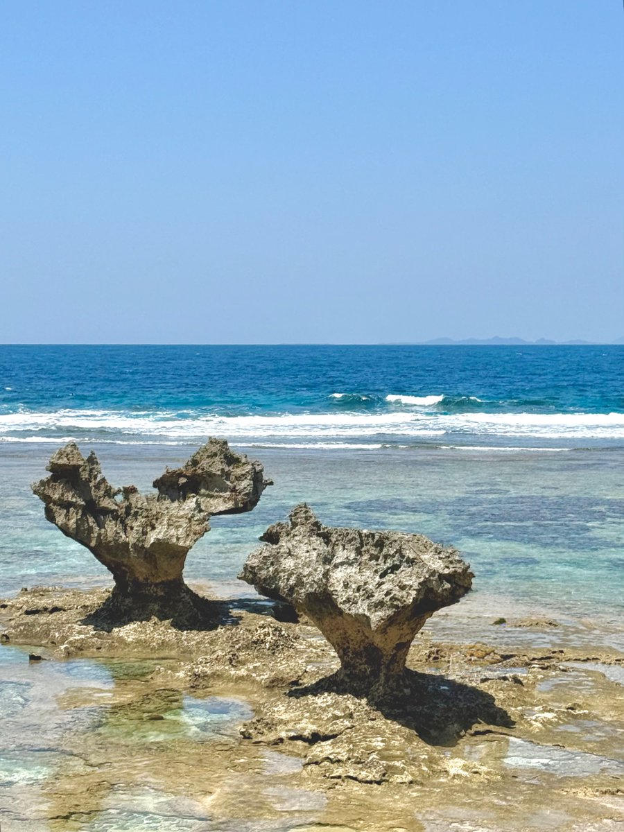 x_fcFree7F's tweet image. 🌴沖縄・古宇利島🌺
透き通る海と、自然が作り出したハートの奇岩💙
潮風と波の音に癒されながら、ガーリックシュリンプ&ドラゴンフルーツアイスでひと休み🦐🍋🍨
動画は癒しの波打ち際…✨
#古宇利島 #ハートロック #沖縄旅行 #海のある暮らし #波音動画 #ガーリックシュリンプ