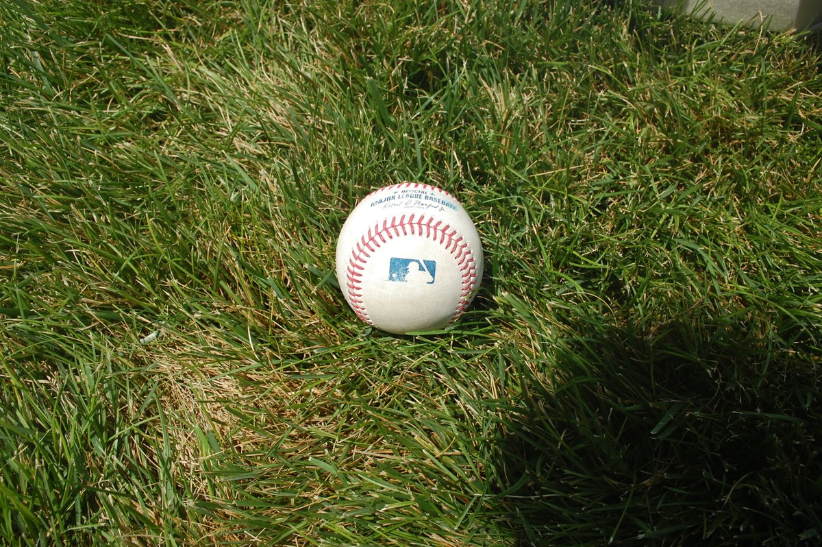CardsAuthentics's tweet image. Only a few more days left on this auction. Now is your chance to bid on a team issued Willson Contreras road jersey, Brendan Donovan game used broken bat, or a MacKenzie Gore strikeout/Masyn Winn double. Auction ends 7/21/25.

cardinals.auctions.mlb.com